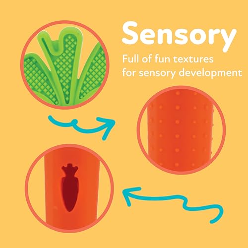Nuby Silicone Carrot Tube Teether - Baby Teething Toy - Massaging Bristles for Sore Gums - 3+ Months