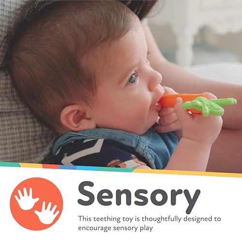 Nuby Silicone Carrot Tube Teether - Baby Teething Toy - Massaging Bristles for Sore Gums - 3+ Months