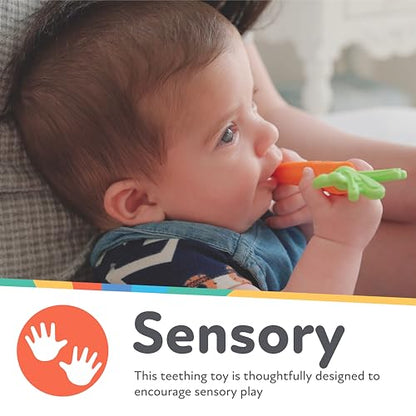 Nuby Silicone Carrot Tube Teether - Baby Teething Toy - Massaging Bristles for Sore Gums - 3+ Months